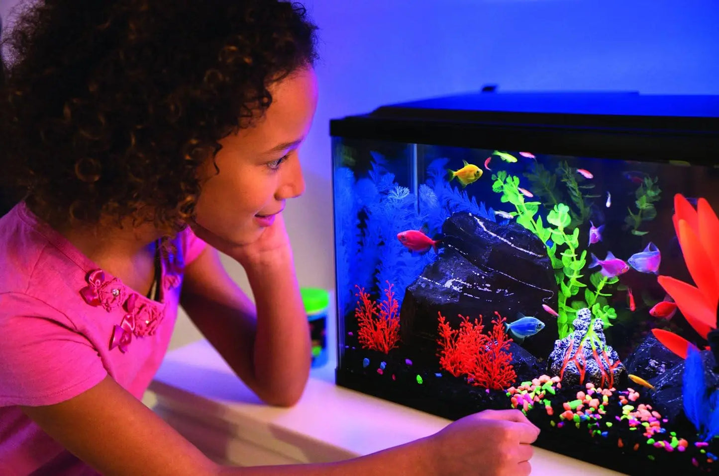 20 Gallon Aquarium Kit with LED Lights, Decor Heater & Filter