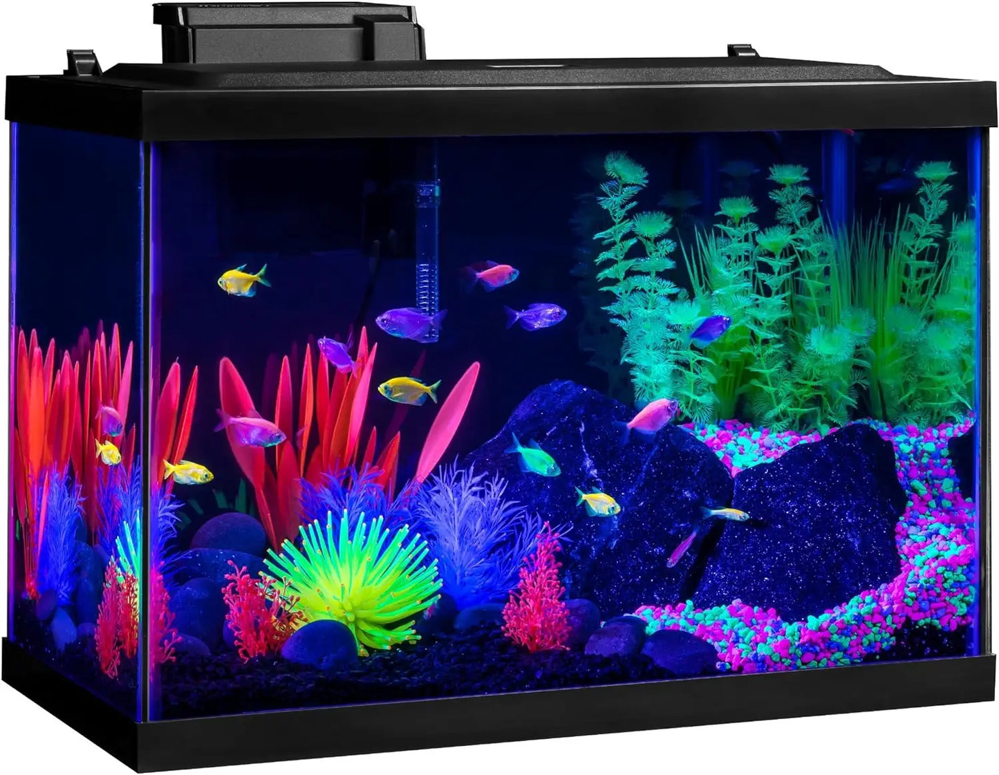 20 Gallon Aquarium Kit with LED Lights, Decor Heater & Filter