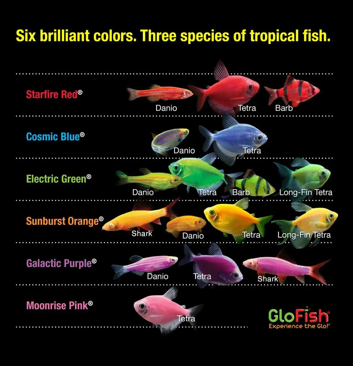 20 Gallon Aquarium Kit with LED Lights, Decor Heater & Filter