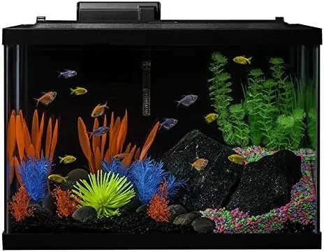 20 Gallon Aquarium Kit with LED Lights, Decor Heater & Filter