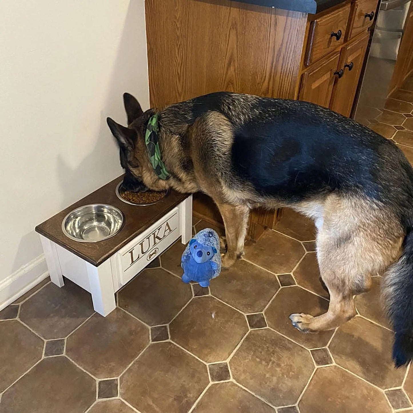 Raised Dog Bowl Stand with Internal Storage Elevated Dog Bowls with Double Stainless Steel Dish