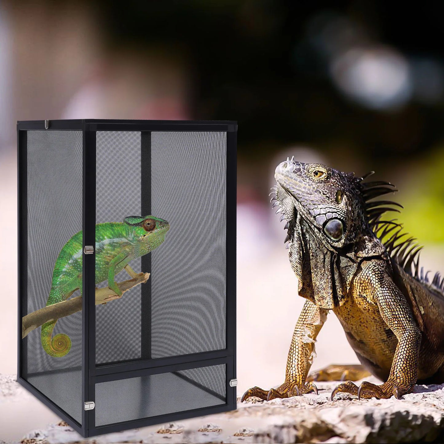 Premium Aluminum Alloy Amphibian Breeding & Reptile Feeding Tank Viewing Basket for Lizards, Turtles, Snakes