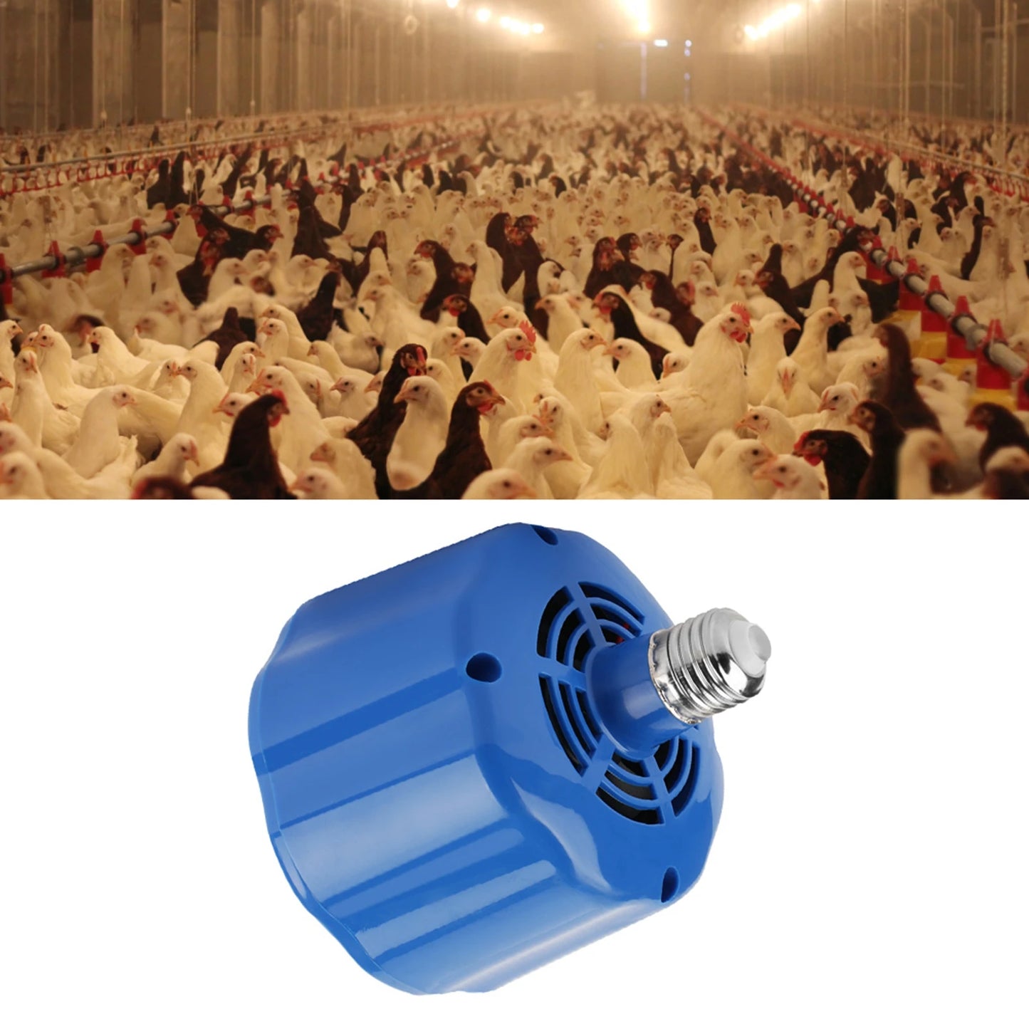 Heating Lamp 100‑300W Cultivation Heating Lamp for Pet Chicken Livestock Cultivation Heating Lamp