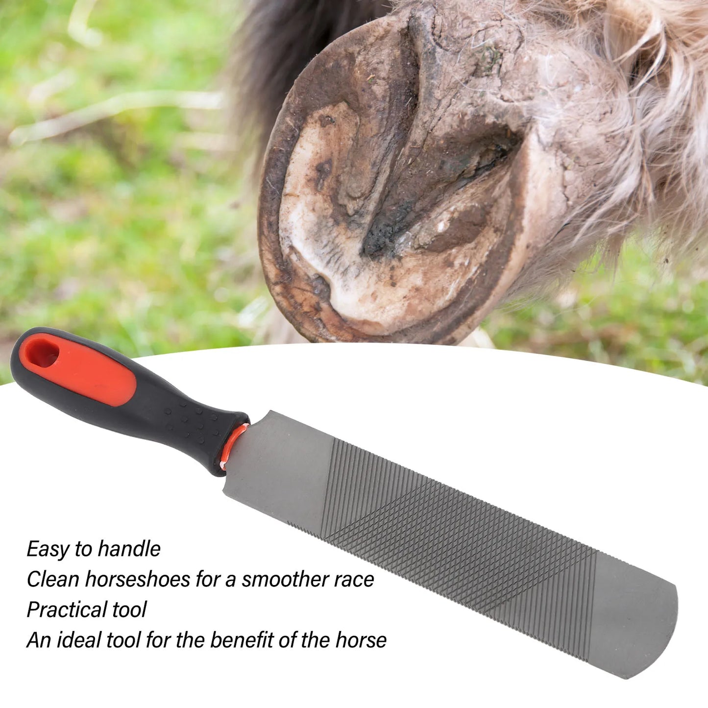 8 Inch Hoof Rasp Carbon Steel Ergonomic Horseshoe File Trimming Tool with Flexible Handle for Horse