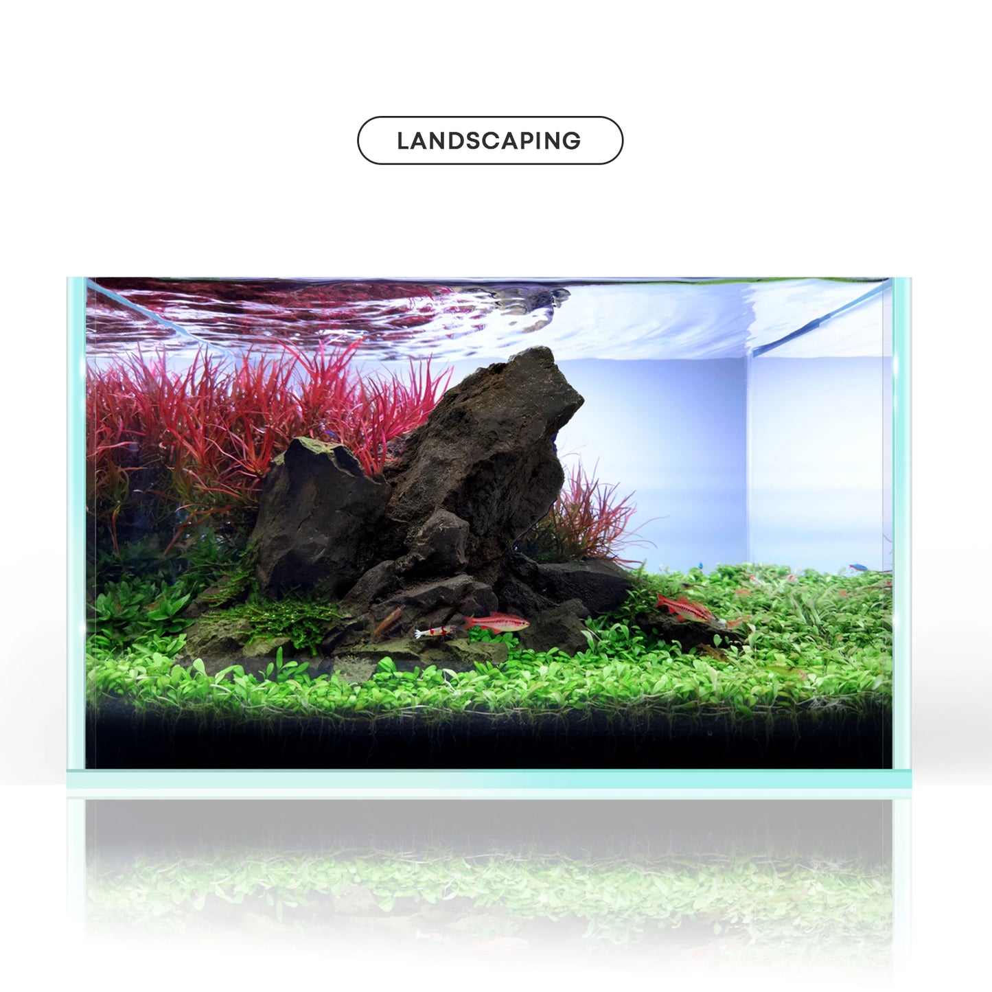 Resin Manten Stone and Driftwood Model PH Nature Aquarium Rocks for aqua scaping, Hardscape