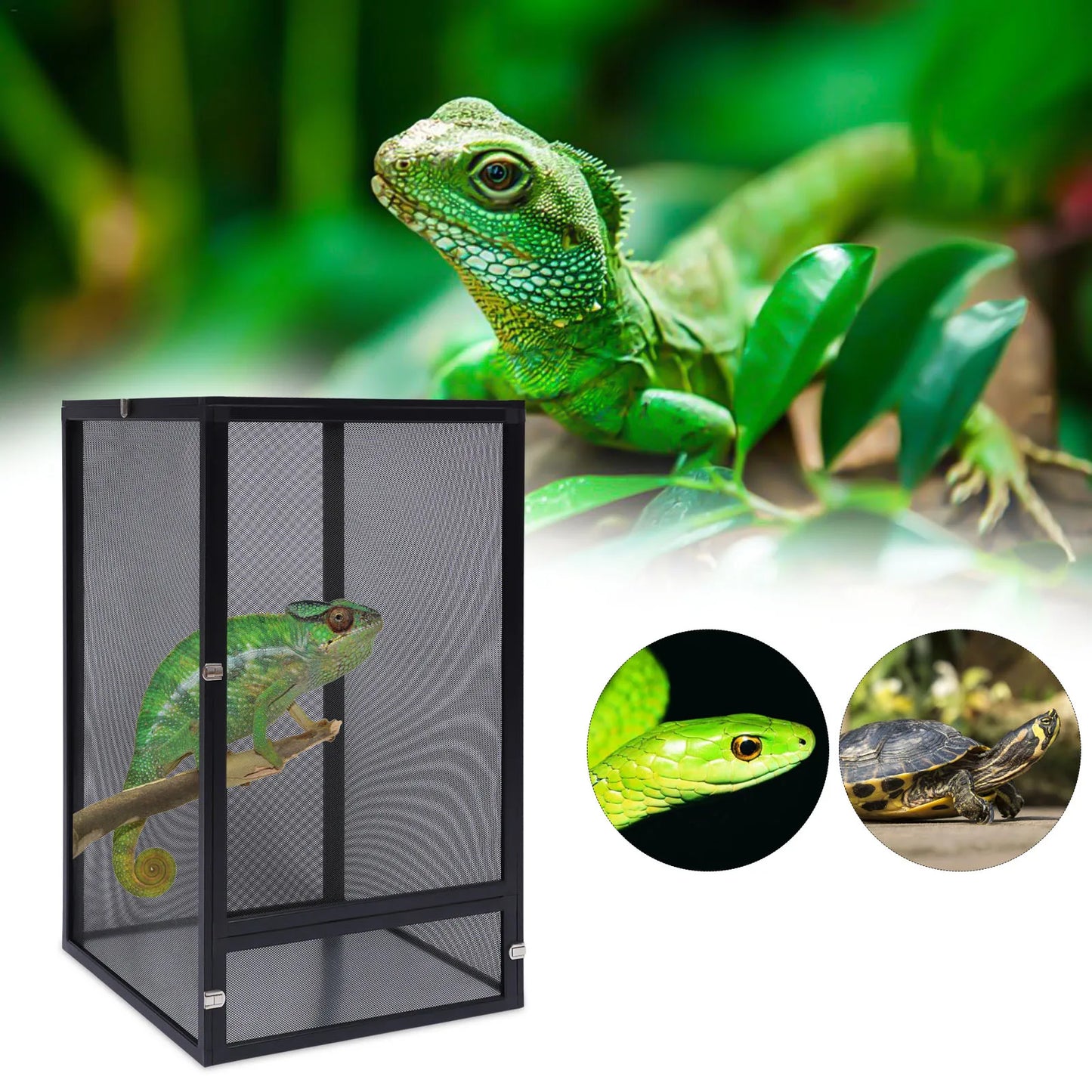 Premium Aluminum Alloy Amphibian Breeding & Reptile Feeding Tank Viewing Basket for Lizards, Turtles, Snakes