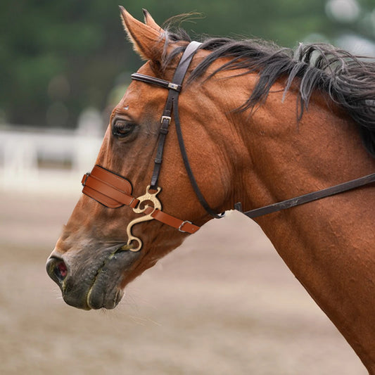 Horse Bit Bridle Hackamore Brown English Western Nose Curb Chain Padded Adjustable