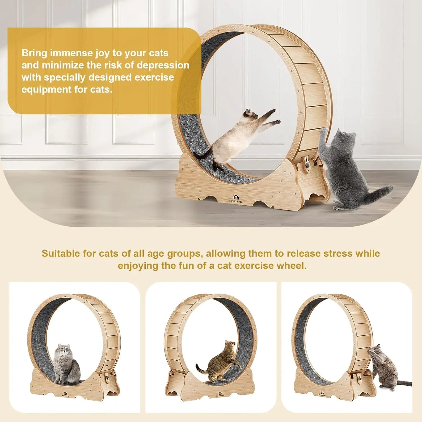 Cat Exercise Wheel with Carpeted Runway, Running Wheel for Indoor Cats