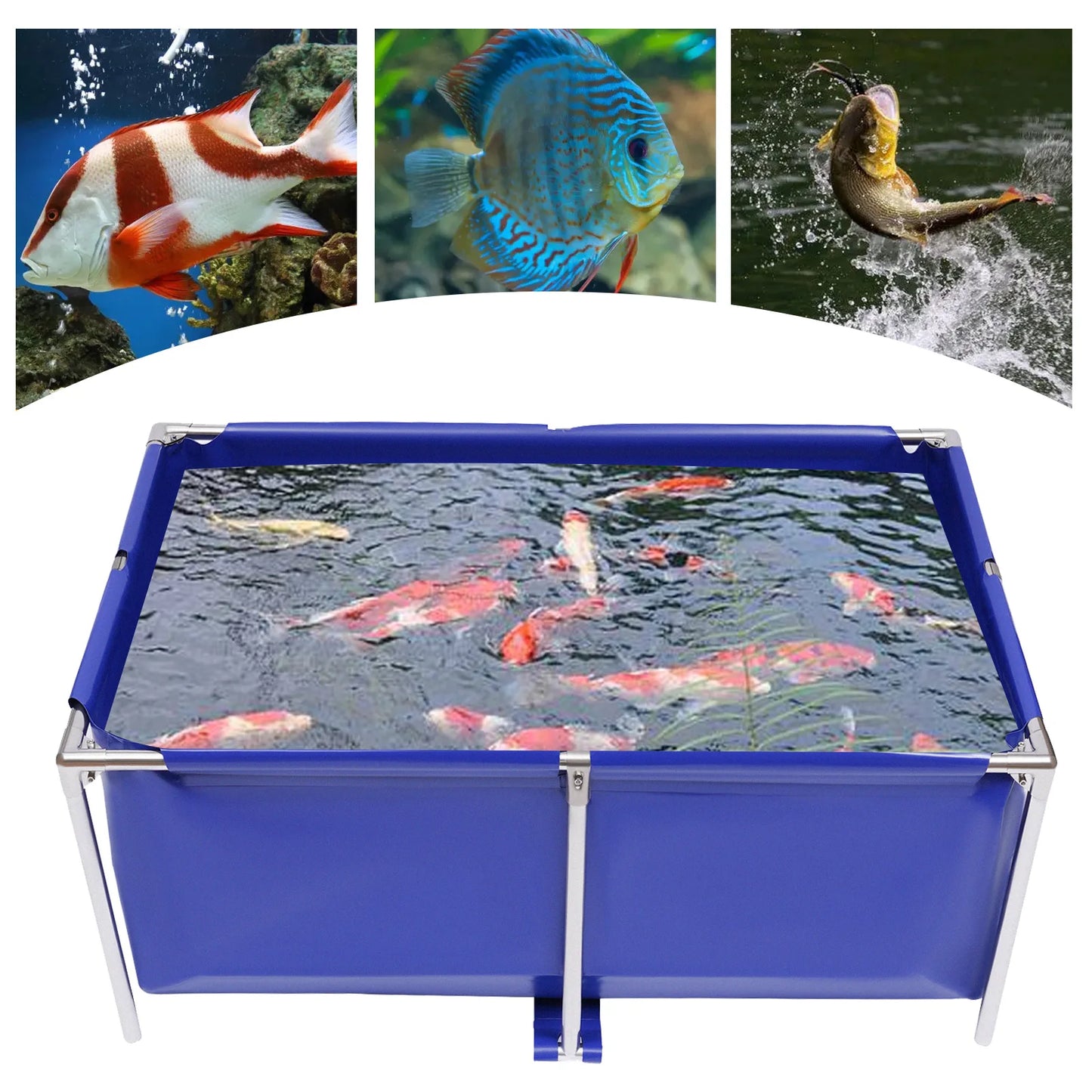 Aquarium Fish Water Tank Ornamental Swimming Pool, Koi Breeding Pond