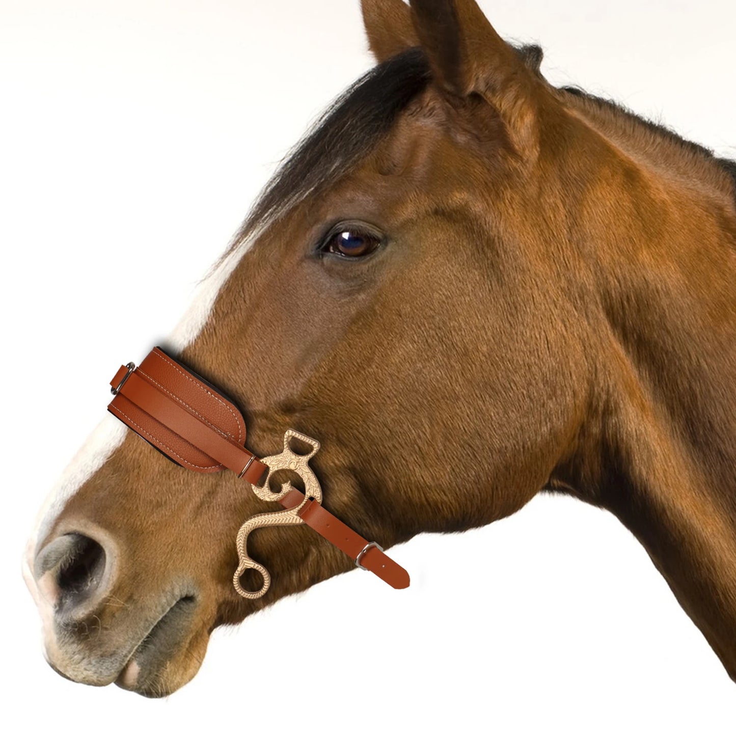 Horse Bit Bridle Hackamore Brown English Western Nose Curb Chain Padded Adjustable