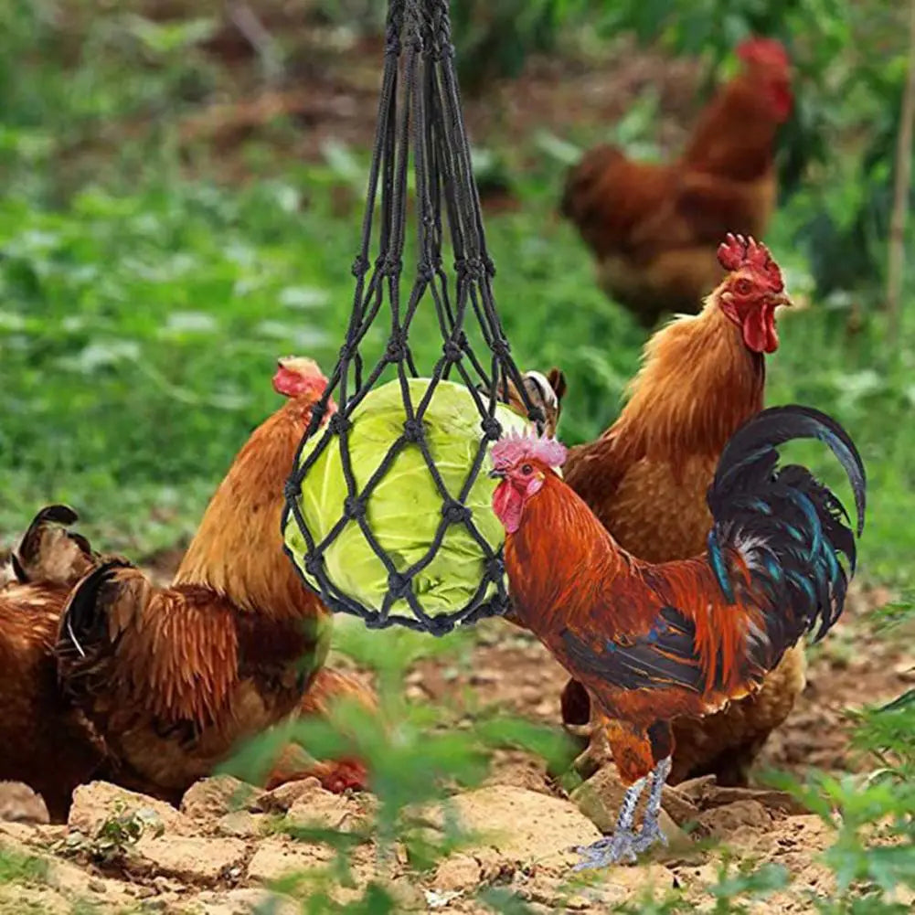 Enrichment Efficient Hanging Feeder for Chickens Mesh Net Bag Healthy Vegetable Feeding Tool