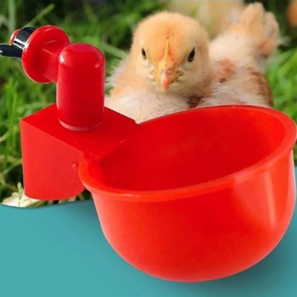 6-48pcs Chicken Duck Drinking Cup Automatic Drinker Fountain Practical Feeding Supplies