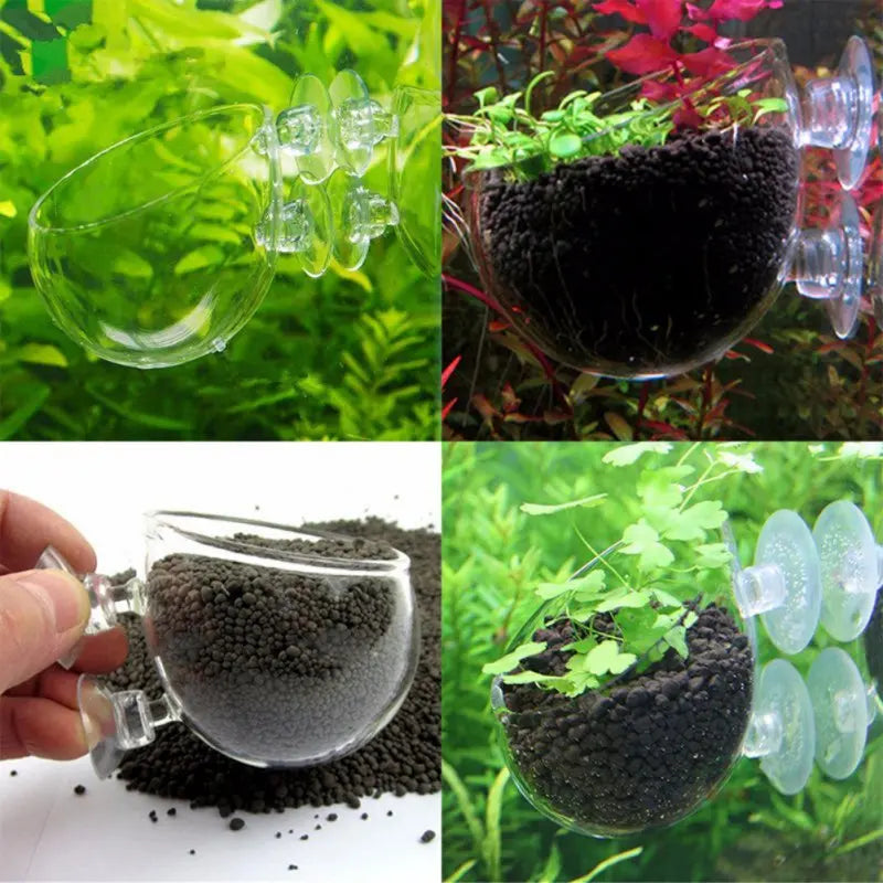 Crystal Glass Aquatic Plant Cup Pot Holder Live Plant Glass Pot Holder with 2 Suckers Fish Tank Decor