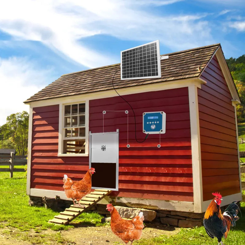 Automatic Chicken Flap With Slider Coop Opener Solar With Timer & Light Sensor For Farm Safe Chicken house