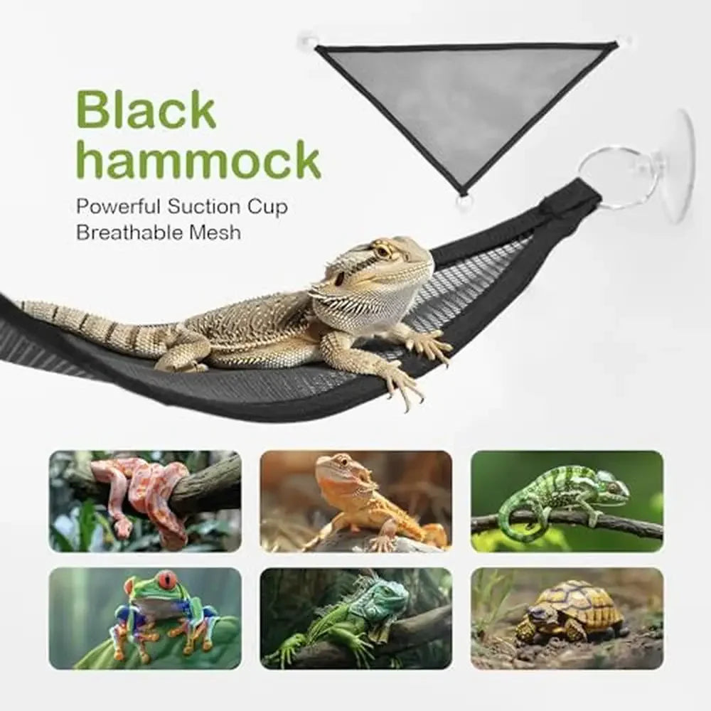 Reptile Terrarium Kit Habitat Cage Starter Set Unbreakable PC Material Complete Accessories Kit Easy