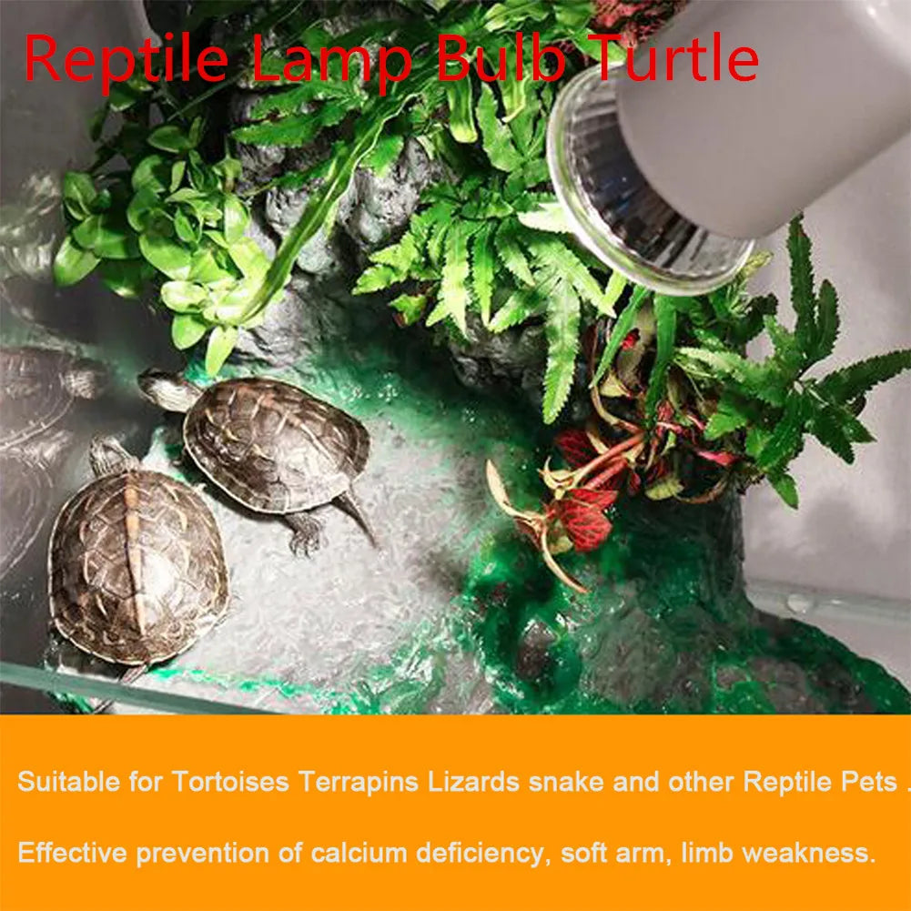 Reptile Lamp Bulb Turtle Basking Uv Light Bulbs Heating Lamp Temperature Controller Warm Device