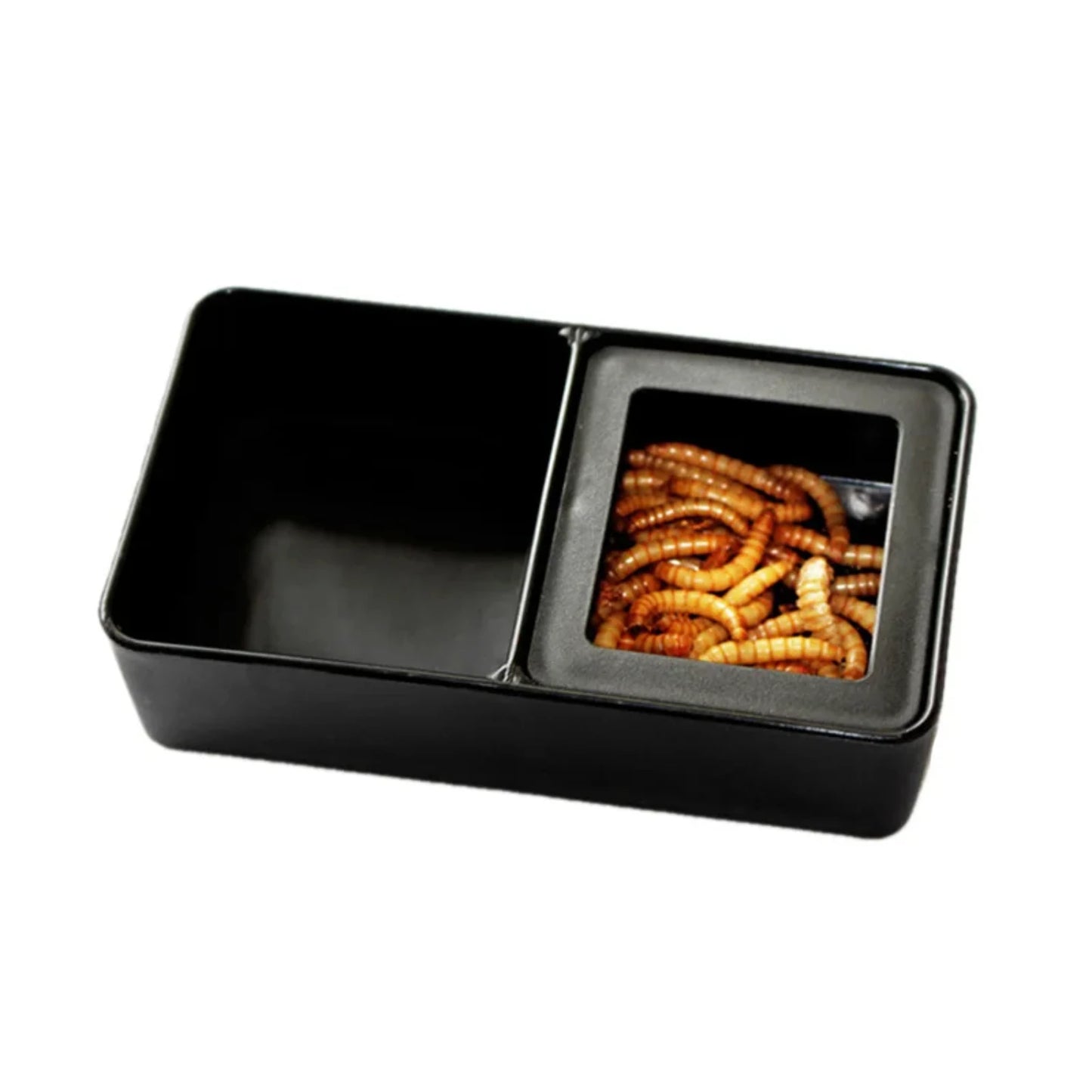 Reliable Large Sturdy Excellent Reptile Feeding Bowl Tank for Ants and Spiders with 1pc Feeders.