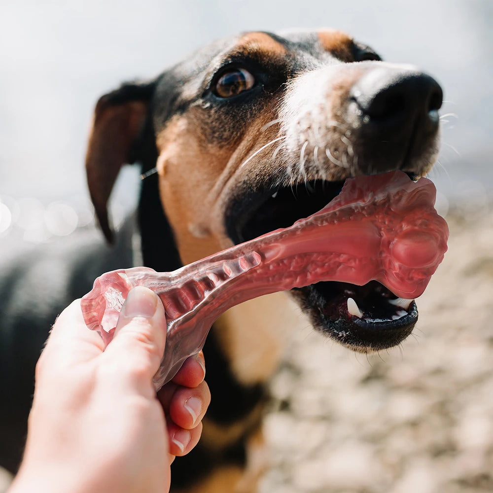 Dog Aggressive Chewers Large Dogs Bone-Shaped Indestructible Nylon Interactive Teeth Cleaning