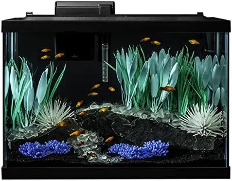 Aquarium 20 Gallon Fish Tank Kit, Includes LED Lighting and Decor