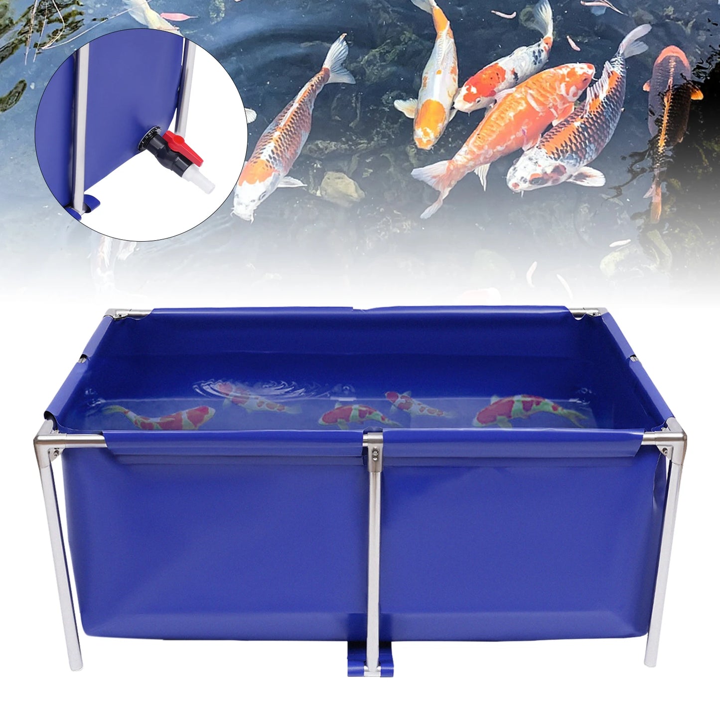 Aquarium Fish Water Tank Ornamental Swimming Pool, Koi Breeding Pond