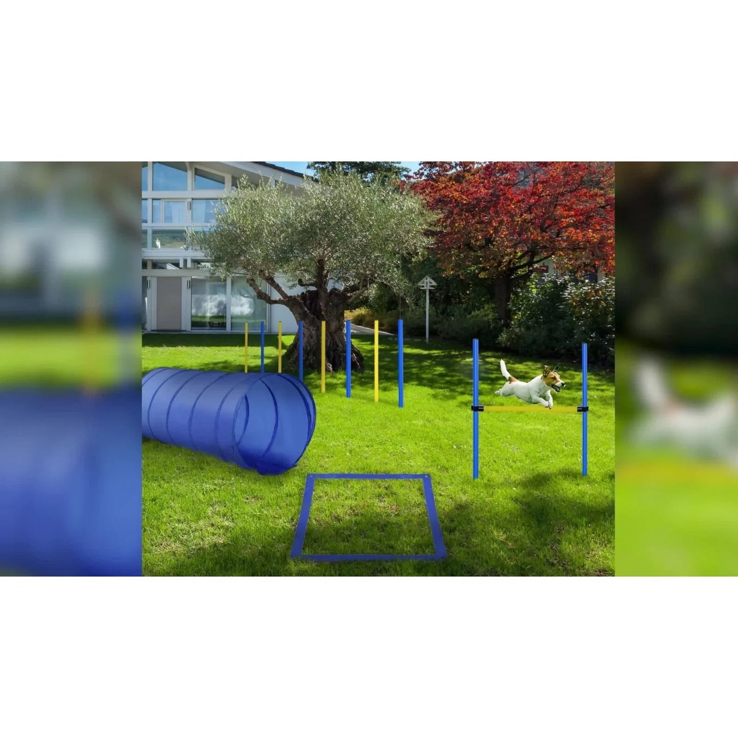 US Backyard Dog Agility Training Kit Obstacle Course Equipment Jump Tunnel -