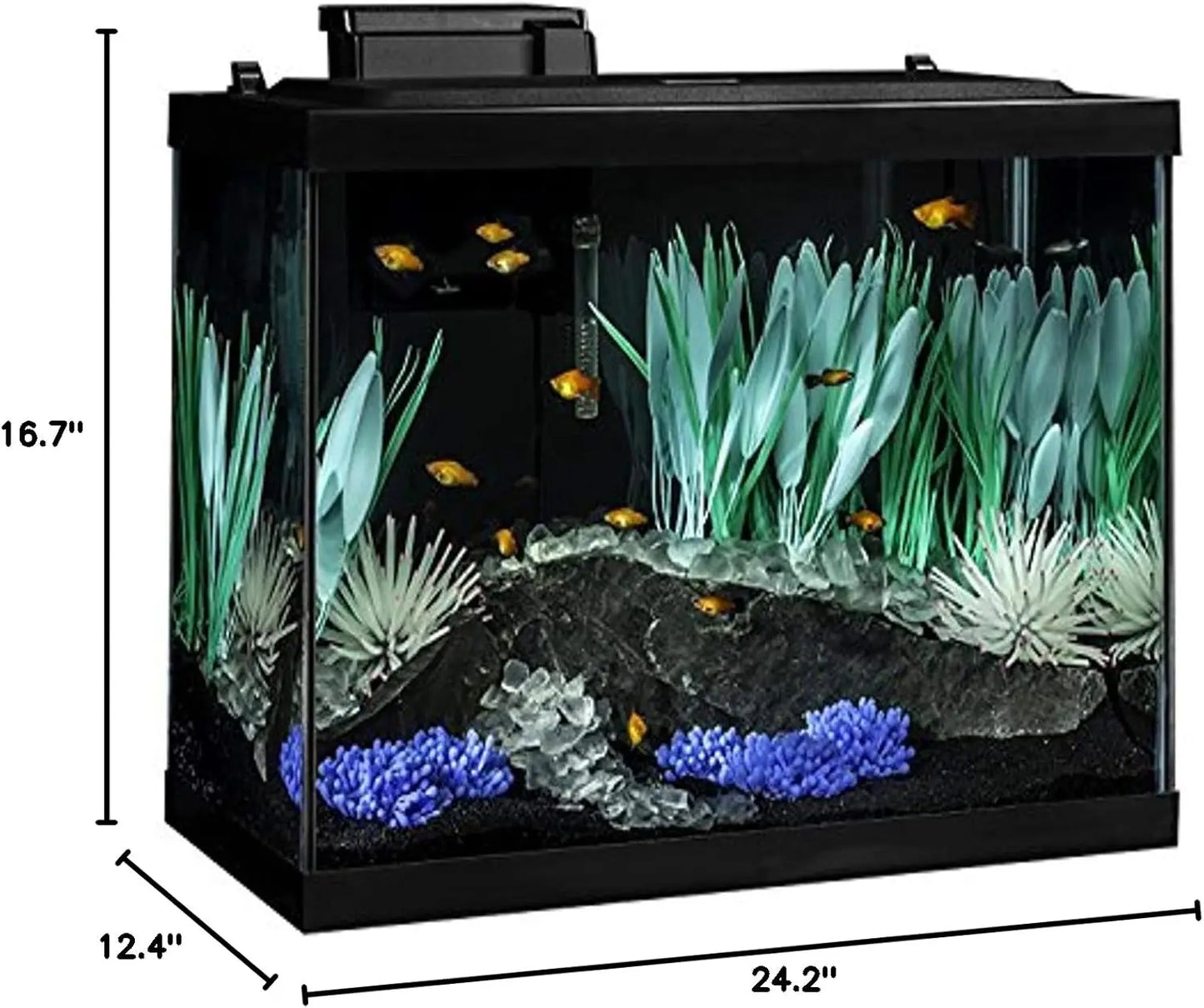 Aquarium 20 Gallon Fish Tank Kit, Includes LED Lighting and Decor