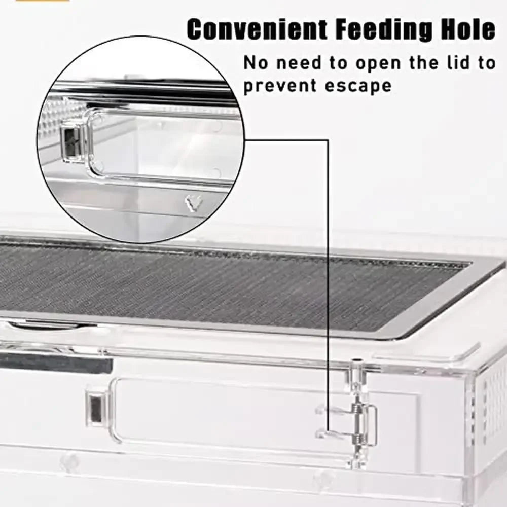 Reptile Tank Enclosure Habitat Terrarium with Tweezer Bowl Feeding Box Durable High Temperature