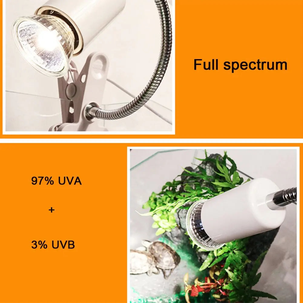 Reptile Lamp Bulb Turtle Basking Uv Light Bulbs Heating Lamp Temperature Controller Warm Device