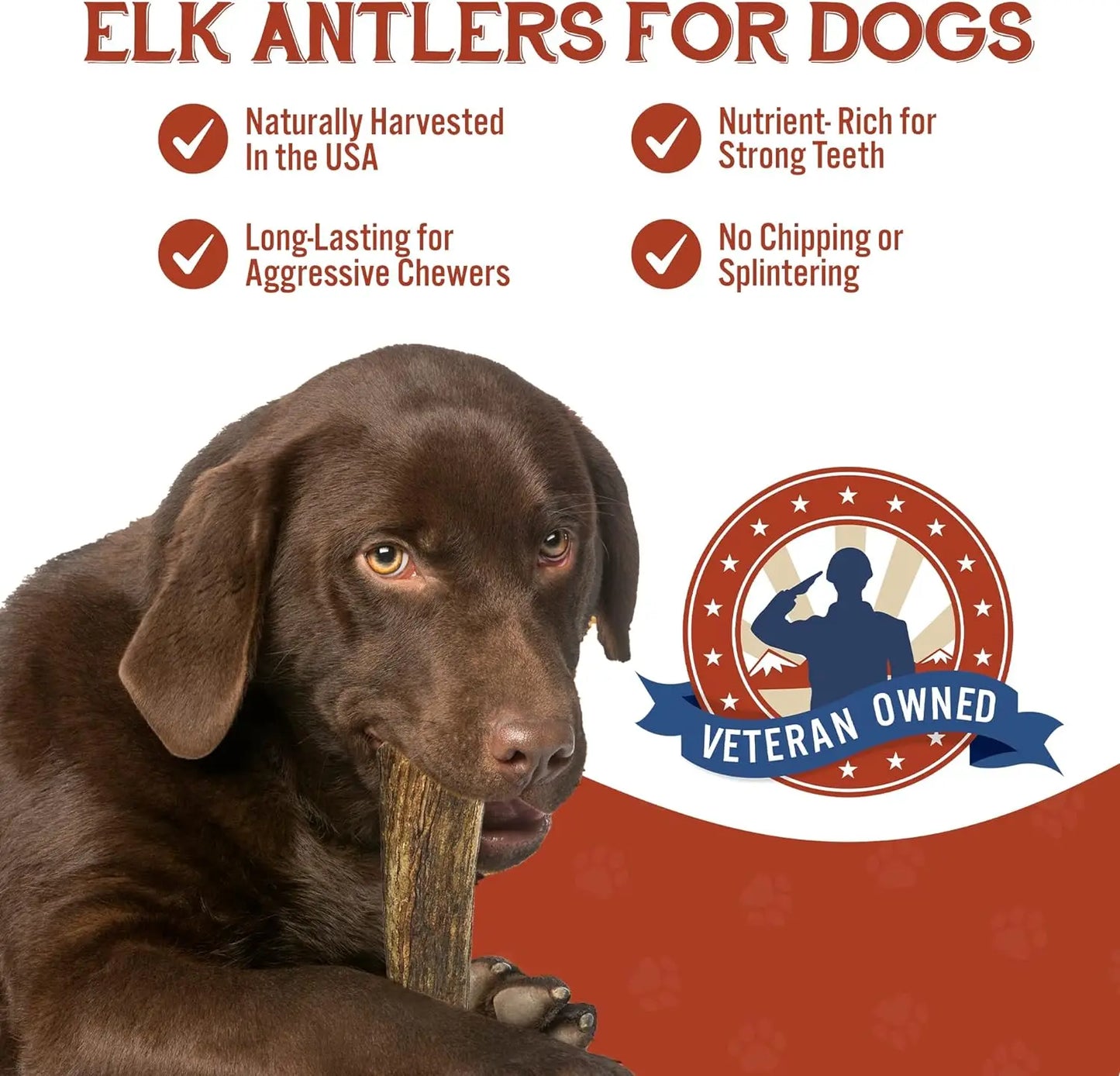 Elk Antlers for Dogs - Grade A, Naturally Shed Antlers for Aggressive Chewers & Teething Puppies