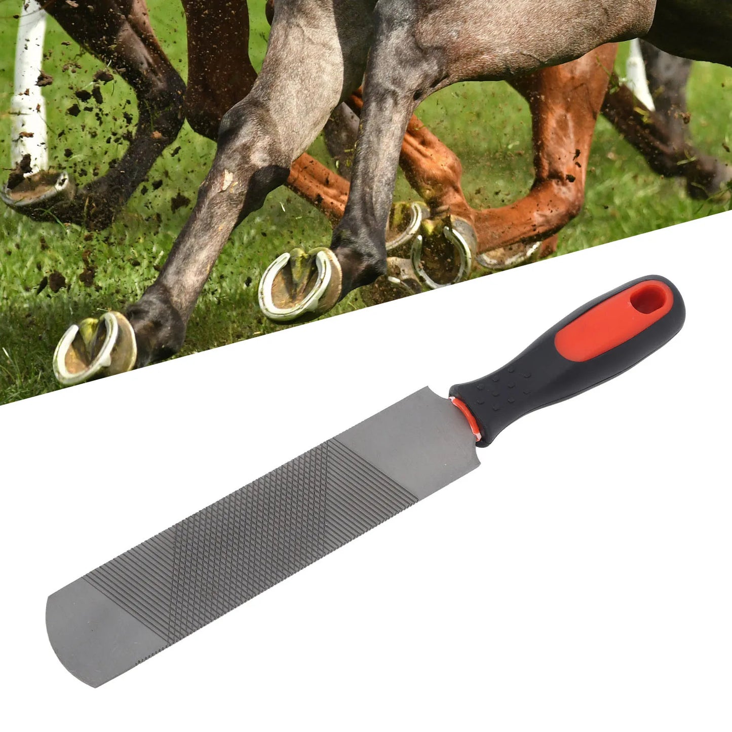 8 Inch Hoof Rasp Carbon Steel Ergonomic Horseshoe File Trimming Tool with Flexible Handle for Horse