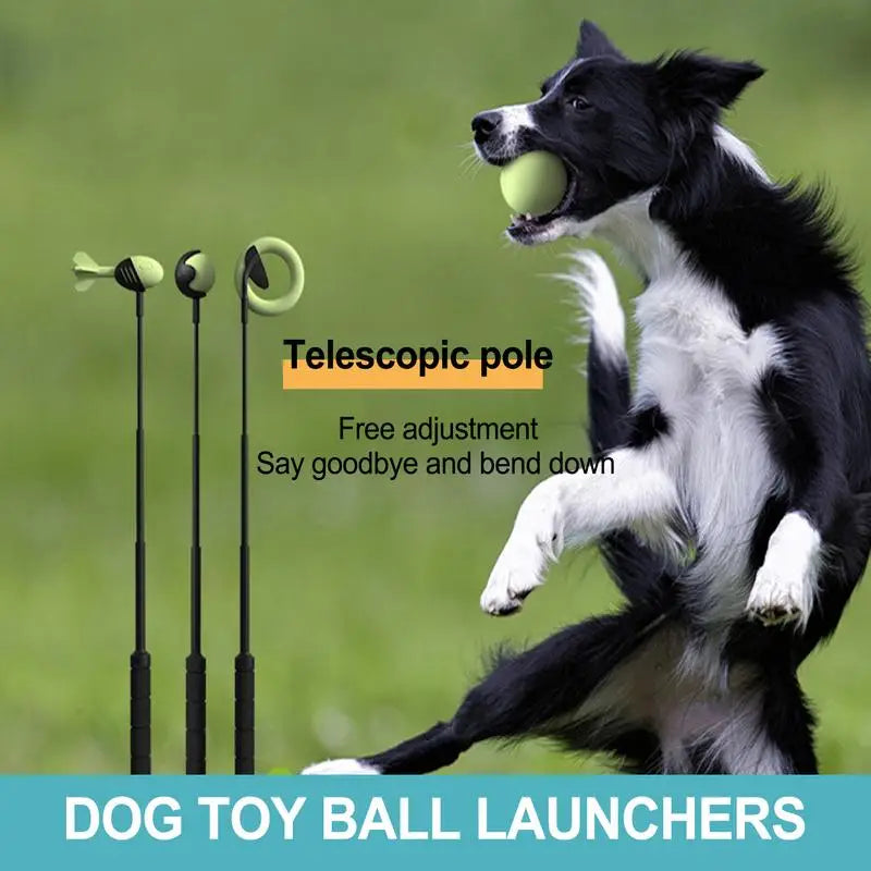 Dog  Throwing Stick Hand Ball Tennis Launcher Pole Outdoor Training Toys Pet Supplies