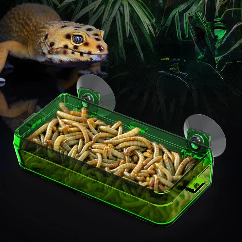 Reptile Transparent Feeder Anti-escape Worm Live Container With Strong Suction Cups