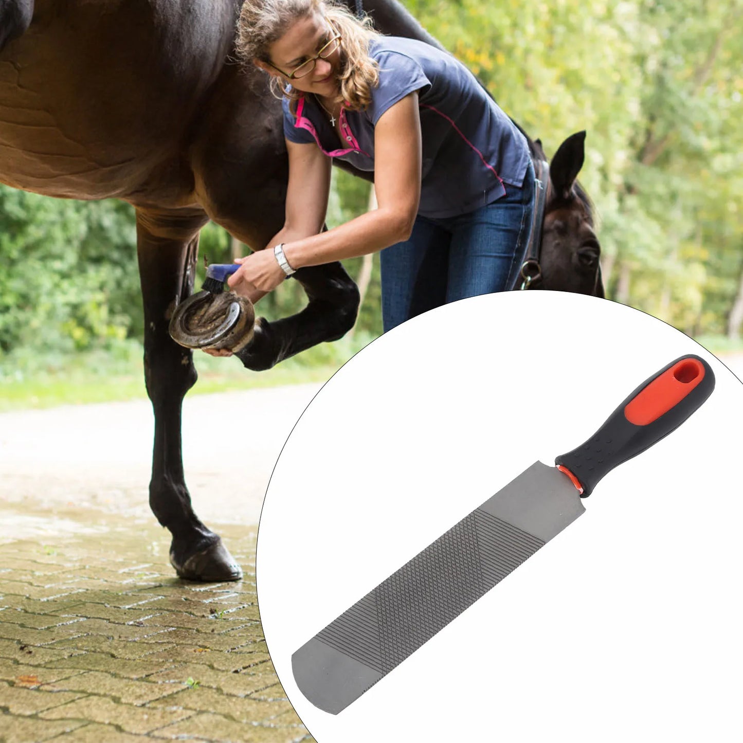 8 Inch Hoof Rasp Carbon Steel Ergonomic Horseshoe File Trimming Tool with Flexible Handle for Horse