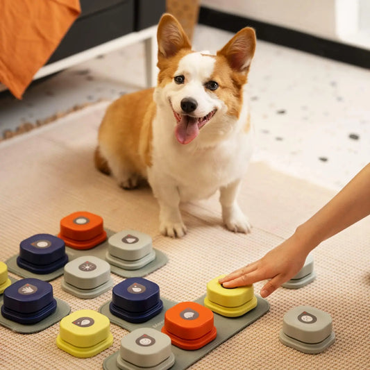 Dog Button Record Talking Pet Communication Vocal Toy Bell Ringer With Pad and Sticker Easy To Use