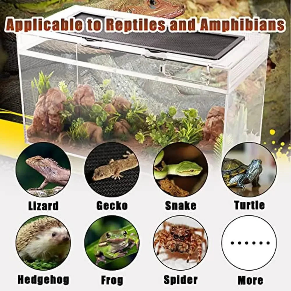 Reptile Tank Enclosure Habitat Terrarium with Tweezer Bowl Feeding Box Durable High Temperature