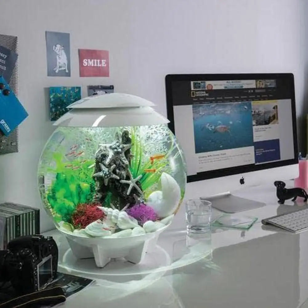 4-Gallon Aquarium with Remote-Controlled LED Lights Display Compact Tank with 360-Degree