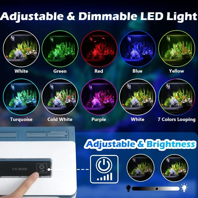 Small Fish Tank 2 Gallon Glass Aquarium Starter Kits Self Cleaning w/Colorful LED Light