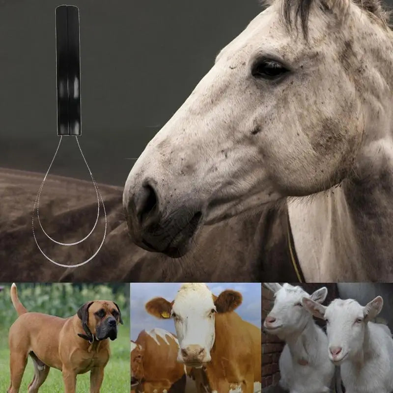 Sweat Scraper Horse Shedding Grooming Tool Deshedding Cleaning Comfortable Grip Riding Equipment